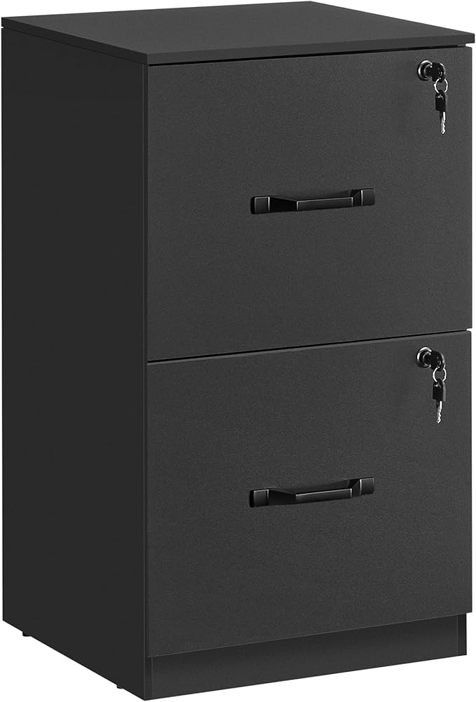 VASAGLE 2-Drawer Vertical File Cabinet, Filing Cabinet for Home Office, Printer Stand, with 2 Lockable Drawers, Adjustable Hanging Rail, for A4 and Letter-Size Files, Ink Black UOFC061B16