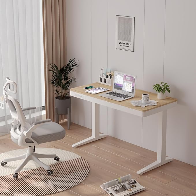 Standing Desk with Drawer and Wireless Charging,48x24 inch Dual Motor Standing Desk, Sit Stand Desk with Whole-Piece Desktop,Stand Up Desk for Home Office(White Oval Legs + Bamboo Top)