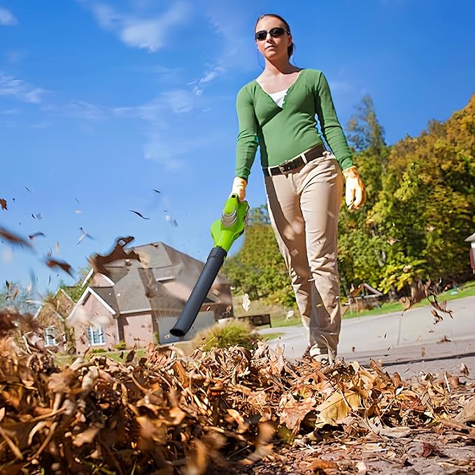 Leaf Blower Cordless with 20V 2.0Ah Battery and Fast Charger, Battery Powered Electric Leaf Blower for Lawn Care