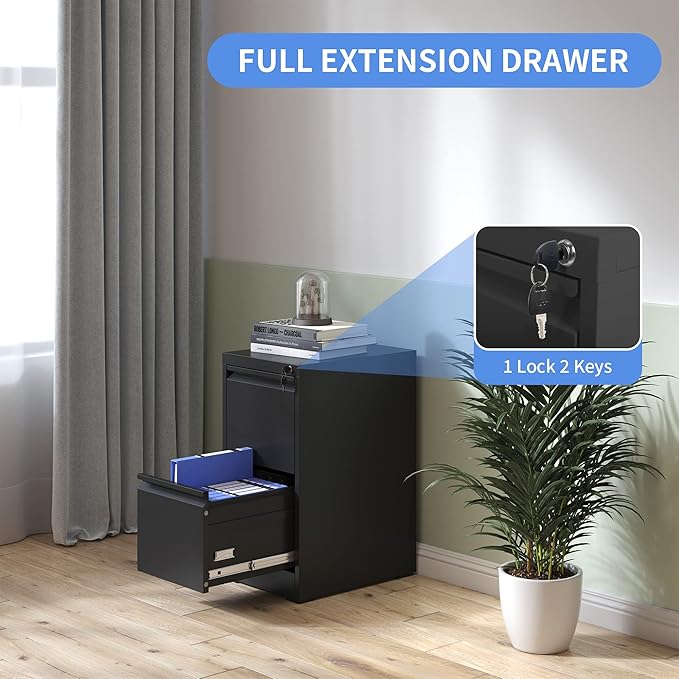 Vertical File Cabinet with Drawers, 2 Drawer File Cabinet for Home Office, Locking File Cabinet Hanging Files for A4/ Legal/Letter, Black