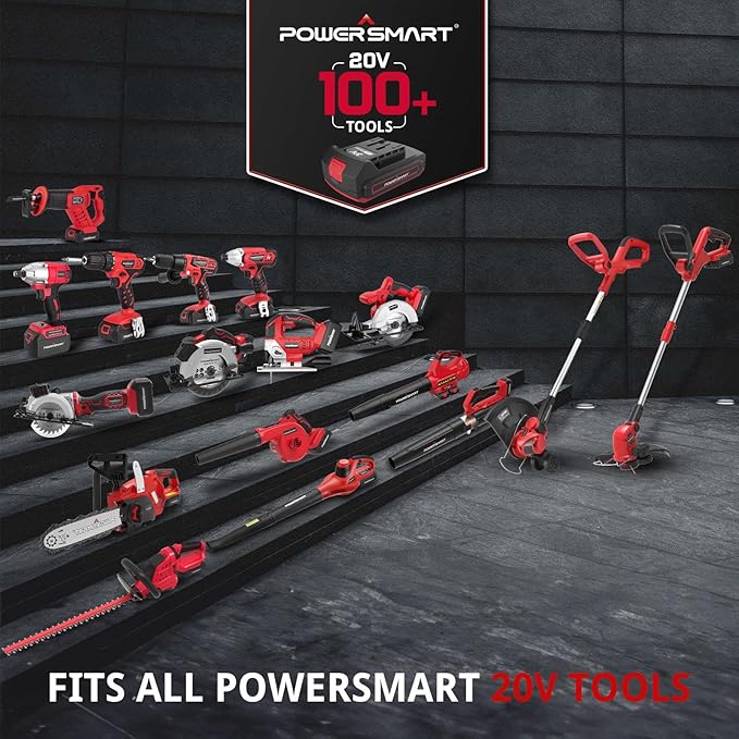 PowerSmart 40V Cordless Leaf Blower, Powerful 450CFM 130MPH Performance with 2X 2.0Ah Batteries & Chargers Included, for Quick & Easy Lawn Care (DB2201B)