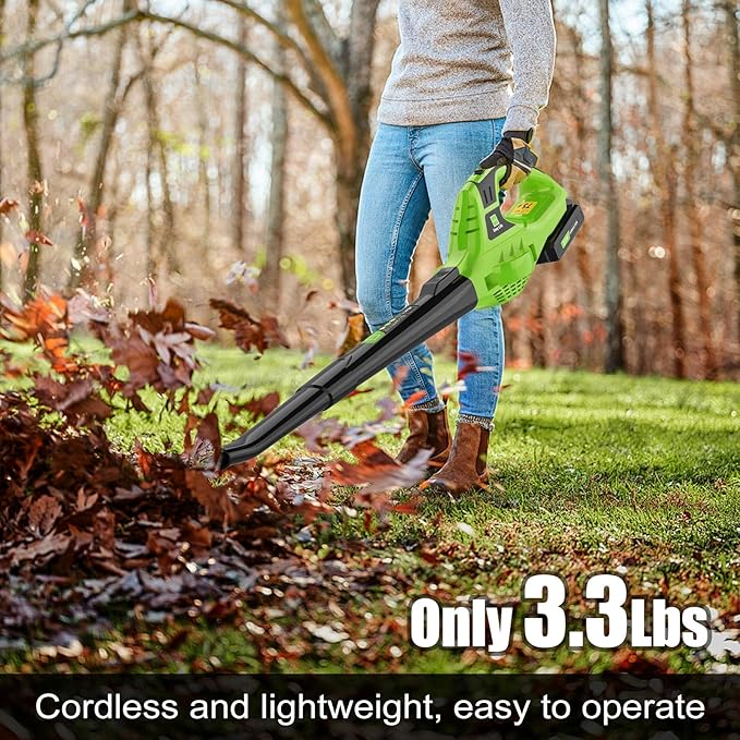 Leaf Blower Cordless,4.0Ah 21V Handheld Electric Leaf Blower with Battery and Charger, 2 Speed Mode, Lightweight Battery Powered Blowers for Lawn Care, Patio, Yard, Sidewalk,Snow Blowing
