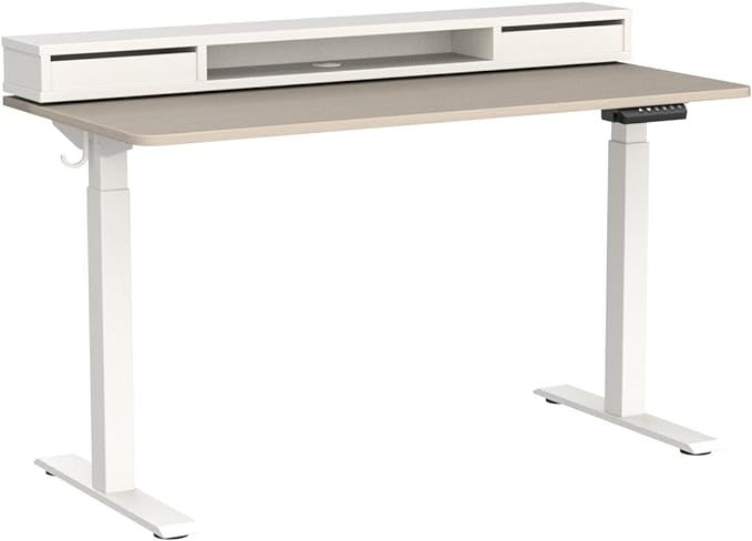 FEZIBO 55 × 26 Inch Electric Standing Desk with Monitor Stand, Height Adjustable Table with LED Strips, Ergonomic Home Office Desk with 2 Drawers Storage Gaming Workstation, Light Walnut
