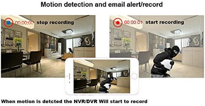16CH 5M-N/1080N Full High Definition Hybrid for AHD/TVI/CVI/Analog/IP DVR H.265 CCTV Video Recorder P2P Remote Phone Monitoring for Home Security Surveillance System Camera (NO HDD)