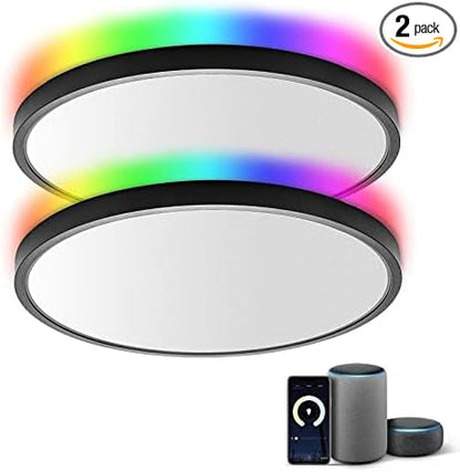 TALOYA 2 Pack Black Smart Ceiling Light Flush Mount LED WiFi, Compatible with Alexa Google Home, Dimmable Low Profile Ambient Light Fixture for Bedroom Living Room,12 Inch 24W