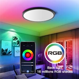 TALOYA 2 Pack Black Smart Ceiling Light Flush Mount LED WiFi, Compatible with Alexa Google Home, Dimmable Low Profile Ambient Light Fixture for Bedroom Living Room,12 Inch 24W