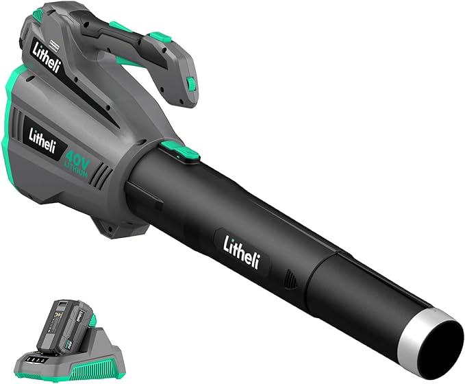 Litheli Cordless Leaf Blower 40V, 480 CFM Battery Leaf Blowers for Lawn Care, with Brushless Motor, Axial Blower for Blowing Leaf, Dust, Snow, Debris, with 2.5Ah Battery & Charger Included, Black