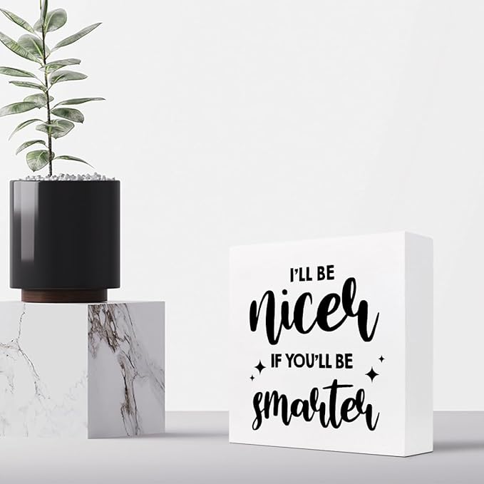 Funny Office Wood Sign,I'll Be Nicer If You'll Be Smarter Wood Block Box Sign Desk Decor,Humorous Plaque Sign for Office Home Shelf Desk Table Decor Decorations