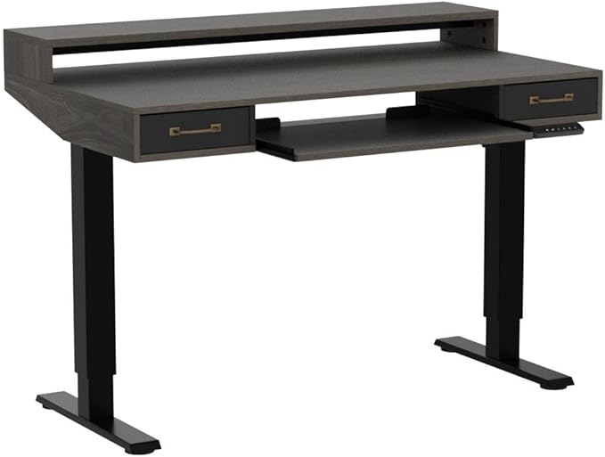 FEZIBO 48 x 24 Inch Height Adjustable Electric Standing Desk with Double Drawers&Keyboard Tray, Stand Up Desk with LED Strips, Sit Stand Desk with Monitor Stand, Rustic Grey