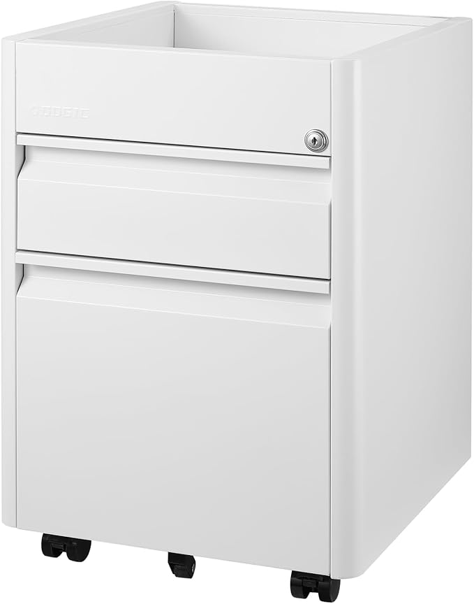 2 Drawer Mobile File Cabinet Top Storage Shelf, Rolling Metal Filing Cabinet for Legal & Letter File Anti-tilt Design with Lock Under Desk Office Drawers Fully Assembled Except Casters(Top ST W)