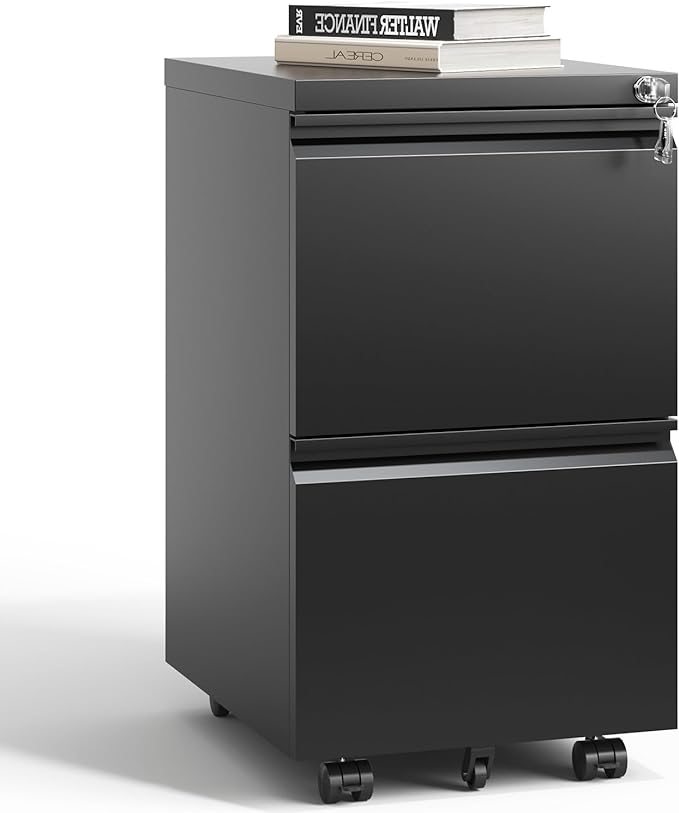 2 Drawer Mobile File Cabinet with Lock,Under Desk Metal Filing Cabinet for Home Office,Steel Small Rolling File Cabinet with 2 Keys for Legal/Letter/A4 Size Fully Assembled Except Wheels (Black)