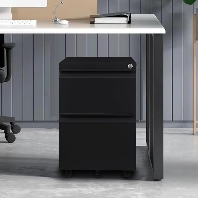 Panana 2-Drawer Mobile File Cabinet with Lock, Commercial Vertical Cabinet, Rolling Filing Cabinet for Letter/A4 Size (Black)
