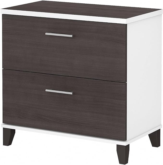 Bush Furniture Somerset 2 Drawer Lateral File Cabinet | Letter, Legal, and A4-size Document Storage for Home Office, 30W x 17D x 29H, White and Storm