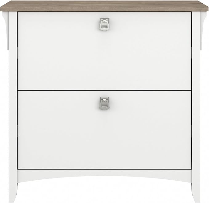 Bush Furniture Salinas 2 Drawer Lateral File Cabinet in Pure White and Shiplap Gray
