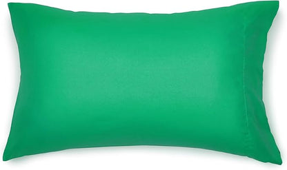 Amazon Basics 5 Piece Microfiber Kid's Bed-in-a-Bag Bedding Set, Twin, Green, Solid