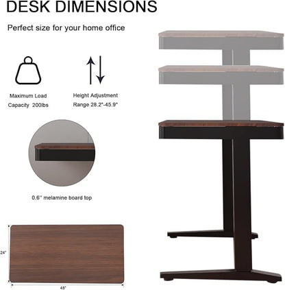Standing Desk with Drawer and Wireless Charging,48x24 inch Dual Motor Electric Standing Desk,Stand Up Desk with Whole-Piece Desktop(Black Oval Legs+Rustic Brown Top)