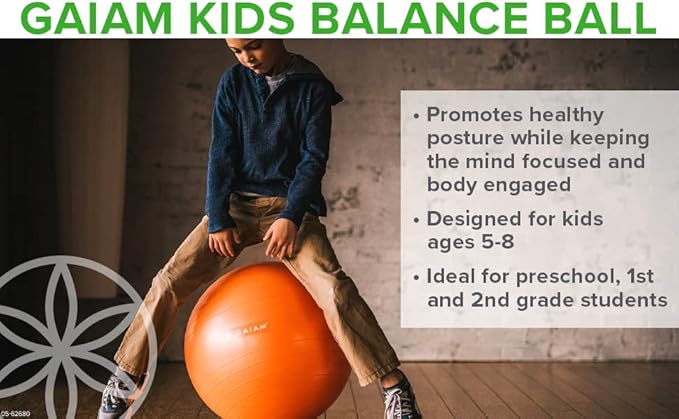 Balance Ball Chair