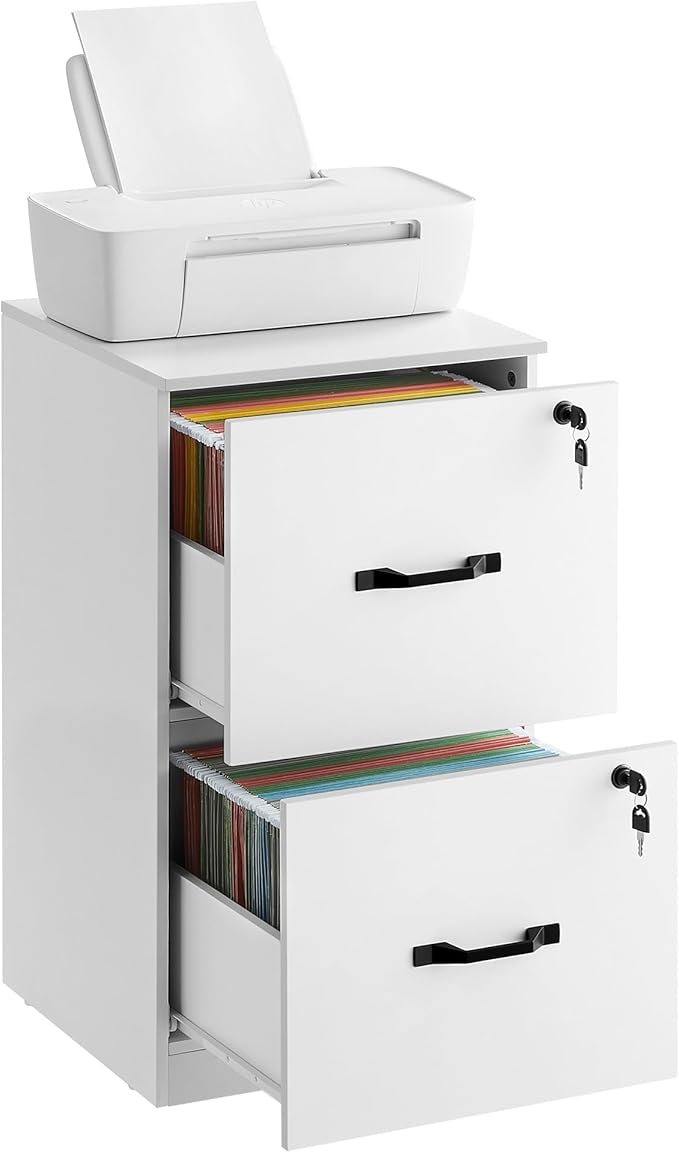VASAGLE 2-Drawer Vertical File Cabinet, Filing Cabinet for Home Office, Printer Stand, with 2 Lockable Drawers, Adjustable Hanging Rail, for A4 and Letter-Size Files, Cloud White UOFC016W14