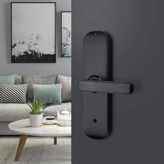 HAIFUAN M20 Bluetooth Digital Lock,Unlock with Fingerprints, Cards, Codes, App (Compatible with Alexa) (for Left Hand Doors Only)