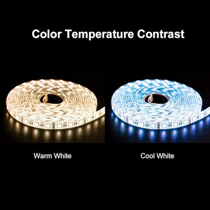 BTF-LIGHTING 5050 RGBW RGB+Cool White(6000K-7000K) 4 Colors in 1 LED Tape Light DC12V 5m 16.4ft 60LED/m Multi-Colored IP65 White 12mm PCB for Bedroom Kitchen Home Decoration(No Adapter or Controller)