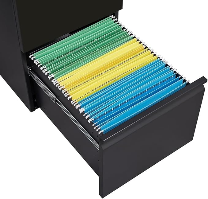 Panana 2-Drawer Mobile File Cabinet with Lock, Commercial Vertical Cabinet, Rolling Filing Cabinet for Letter/A4 Size (Black)