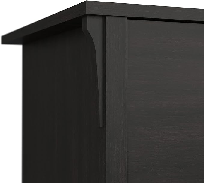 Bush Furniture Salinas 2 Drawer Lateral File Cabinet | Home Office Storage for Letter, Legal, and A4-size Documents, Vintage Black