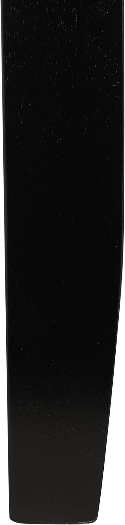 SAFAVIEH Home Collection Winsome Matte Black 2-Drawer Office Living Room Bedroom Study Foyer Writing Desk DSK1402A, 0