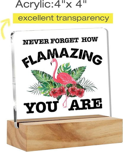 Motivational Flamingo Acrylic Desk Sign Decoration Plaque Never Forget How Flamazing You are Desk Sign Keepsake Home Office Room Desk Decor