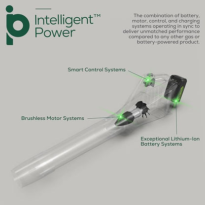 Greenworks 24V (110 MPH / 450 CFM / 125+ Compatible Tools) Cordless Brushless Axial Leaf Blower, Tool Only
