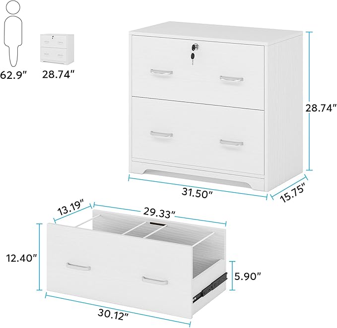 Lateral File Cabinet with 2 Drawers, 31.5 Inches Large Filing Cabinet for Hanging Letter/Legal/F4/A4 Size Files with Lock, Home Office, White