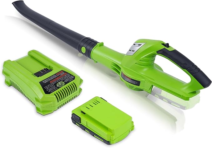Leaf Blower Cordless with 20V 2.0Ah Battery and Fast Charger, Battery Powered Electric Leaf Blower for Lawn Care