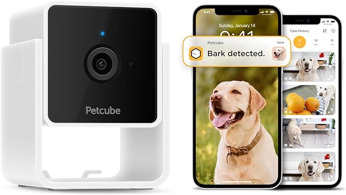 Petcube Cam and Care Coverage Subscription | Indoor Wi-Fi Pet and Security Camera with Phone App, Cats and Dogs Monitor with 2-Way Audio and Video, Night Vision