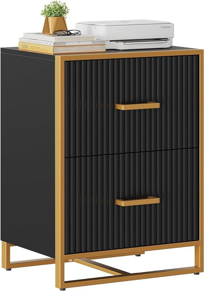 YITAHOME 2 Drawer File Cabinet, Lateral Filing Cabinet for Home Office, Black and Gold