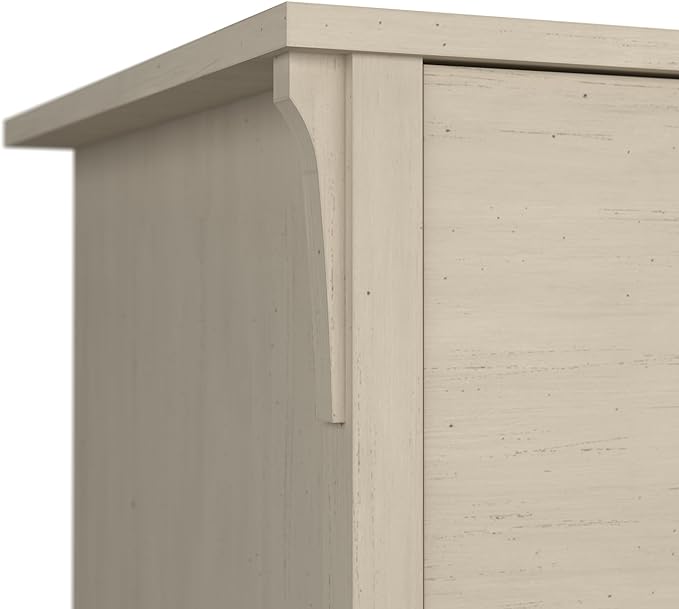 Bush Furniture Salinas Lateral File Cabinet, Farmhouse 2 Drawer File Cabinet for Home Office