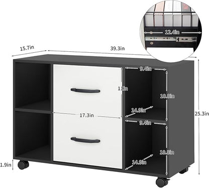sogesfurniture Mobile Lateral Filing Cabinet with 2 Drawers,Lateral Office Cabinet Printer Stand, Multifunctional Storage Cabinet with Open Shelves and Castors for Home & Office (Black)