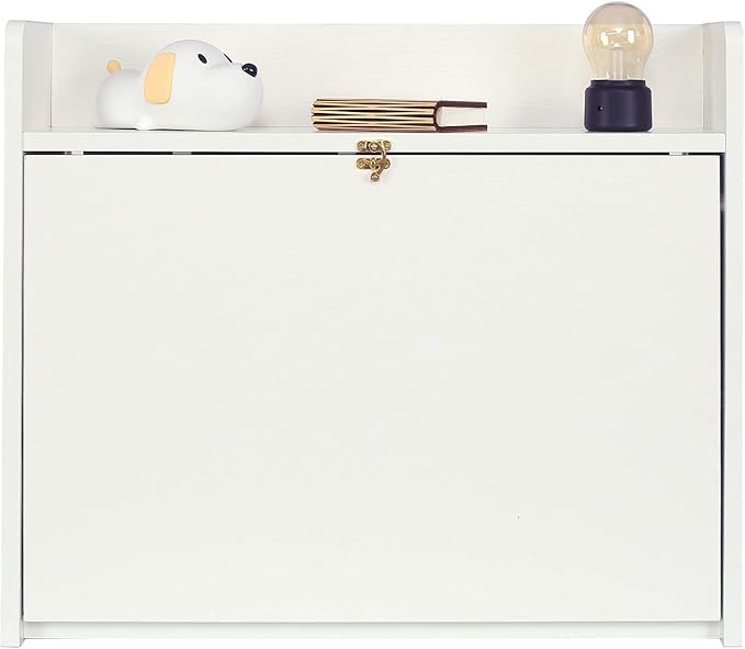 YUSING Wall Mounted Table, Multifunctional Fold Down Wall Mounted Laptop Computer Desk with Storage Compartments for Home, Office, White