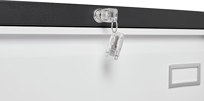 2 Drawer Metal Lateral Lock and Card Holder,Office Vertical Files Storage Cabinets w/Heavy 3 Section Slide Rail & Breathable Holes,for Legal/Letter/A4,Black+White