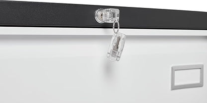 2 Drawer Metal Lateral Lock and Card Holder,Office Vertical Files Storage Cabinets w/Heavy 3 Section Slide Rail & Breathable Holes,for Legal/Letter/A4,Black+White