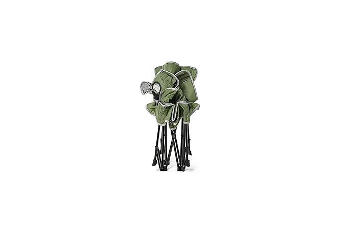 Baby Delight Go with Me Venture Portable Chair | Indoor and Outdoor | Sun Canopy | 3 Child Growth Stages | Moss Bud Green