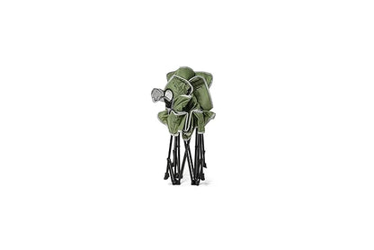 Baby Delight Go with Me Venture Portable Chair | Indoor and Outdoor | Sun Canopy | 3 Child Growth Stages | Moss Bud Green