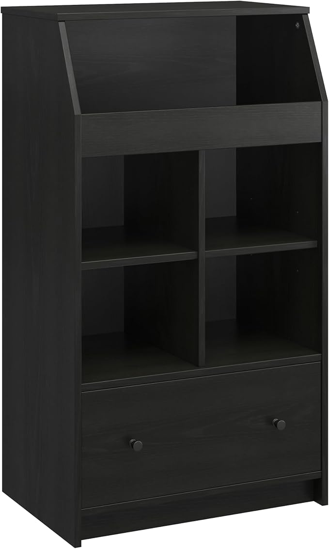 Ameriwood Home The Loft 2 Door Storage Tower, Large, Black Oak