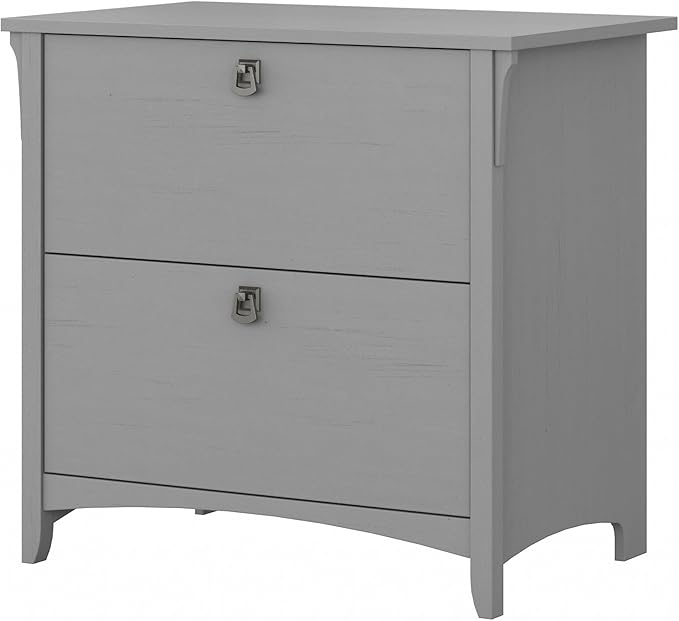 Bush Furniture Salinas 2 Drawer Lateral File Cabinet in Cape Cod Gray