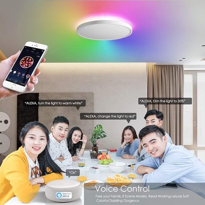 TALOYA Smart Ceiling Light Fixture 10 Inch Flush Mount Led with RGB Night Light, Compatible with Alexa Google Assistant, 2.4G WiFi Ceiling Mount Lamp for Kids’ Room
