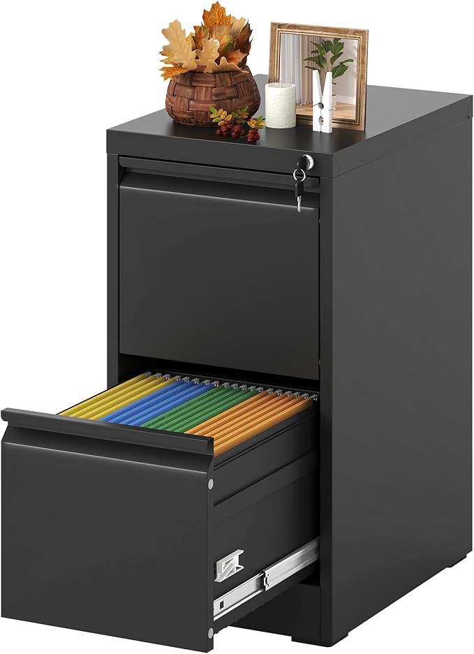 Vertical File Cabinet with Drawers, 2 Drawer File Cabinet for Home Office, Locking File Cabinet Hanging Files for A4/ Legal/Letter, Black