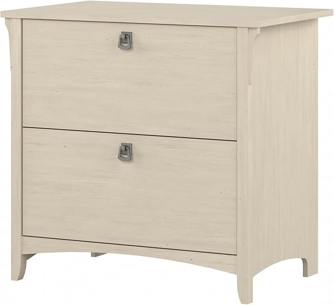 Bush Furniture Salinas Lateral File Cabinet, Farmhouse 2 Drawer File Cabinet for Home Office