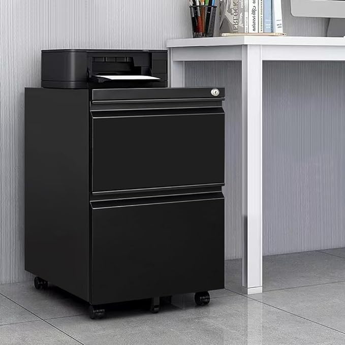 Panana 2-Drawer Mobile File Cabinet with Lock, Commercial Vertical Cabinet, Rolling Filing Cabinet for Letter/A4 Size (Black)