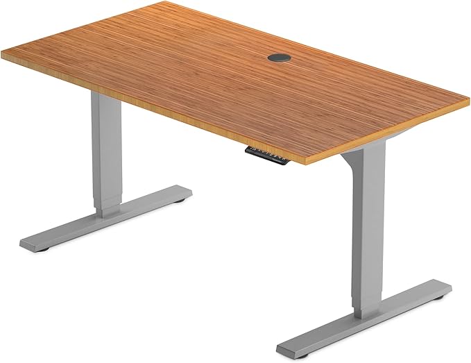 Standing desk bamboo, dual motor stand up desk adjustable height electric 48x30 - Bamboo Dark Gloss, Grey Frame