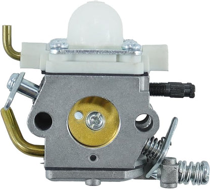 C1M-K77 Carburetor with 15660108361 Ignition Module Replaces C1M-K76, C1M-K49A, C1M-K49, C1U-K16A for Echo PB403H, PB403T, PB413H, PB413T, PB610, PB620, PB620, PB620H, PB620ST Backpack Blower