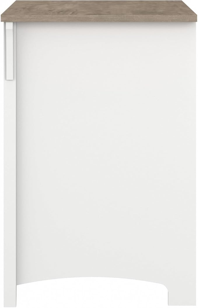 Bush Furniture Salinas 2 Drawer Lateral File Cabinet in Pure White and Shiplap Gray