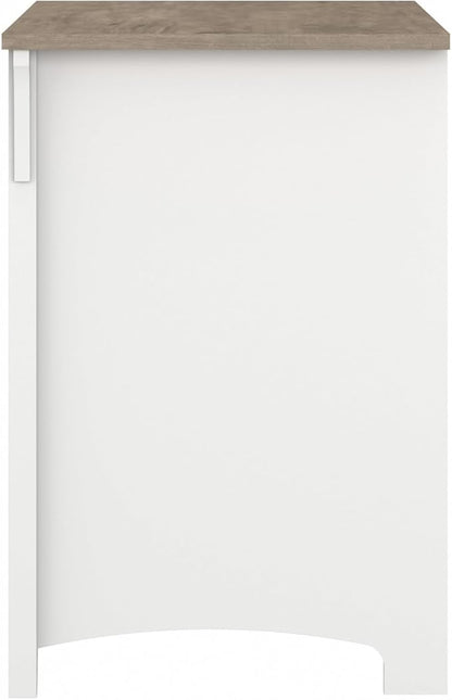 Bush Furniture Salinas 2 Drawer Lateral File Cabinet in Pure White and Shiplap Gray